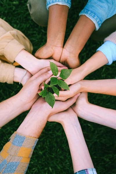 pexels-photo-5029919-5029919 Hands united around a plant symbolizing teamwork and eco-friendly efforts outdoors.